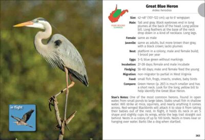 Birds of West Virginia Field Guide - Image 5
