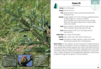 Trees of New England Field Guide - Image 2