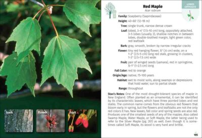Trees of New England Field Guide - Image 5