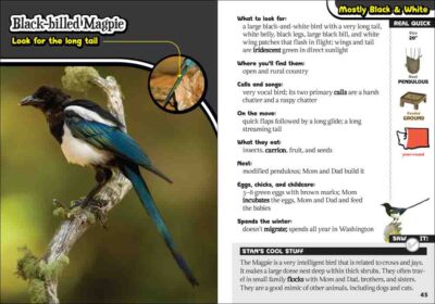 Kids' Guide to Birds of Washington - Image 3