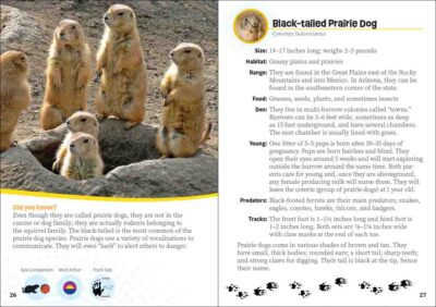 Critters of Arizona - Image 2
