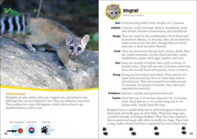 Critters of Arizona - Image 3