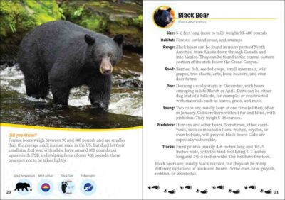 Critters of Arizona - Image 4