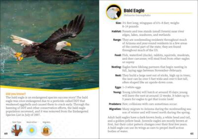Critters of Arizona - Image 5