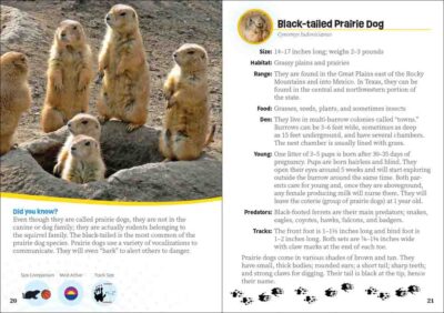 Critters of Texas - Image 2