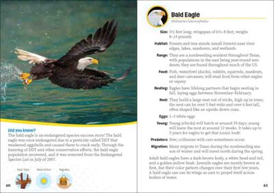 Critters of Texas - Image 5
