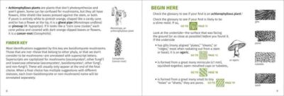 Mushroom Finder - Image 2