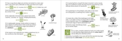 Mushroom Finder - Image 3