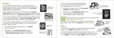 Mushroom Finder - Image 4