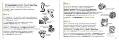 Mushroom Finder - Image 5