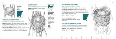 Bird Nest Finder - Image 4