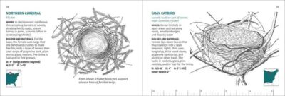 Bird Nest Finder - Image 5