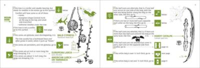 Winter Tree Finder - Image 2