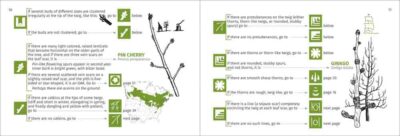 Winter Tree Finder - Image 4