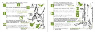Winter Tree Finder - Image 5
