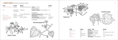 Berry Finder - Image 2