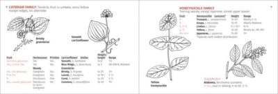 Berry Finder - Image 3