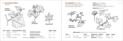 Berry Finder - Image 4