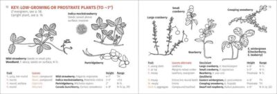 Berry Finder - Image 5