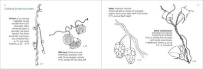 Winter Weed Finder - Image 3
