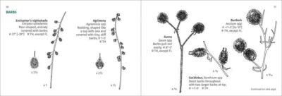 Winter Weed Finder - Image 4