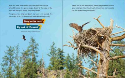 What Will the Eagle Do? - Image 4