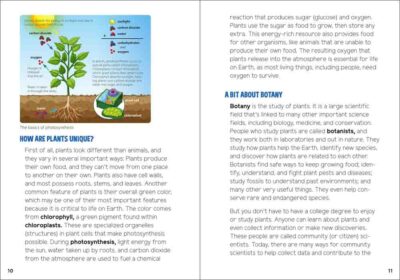Pollinators & Native Plants for Kids - Image 2