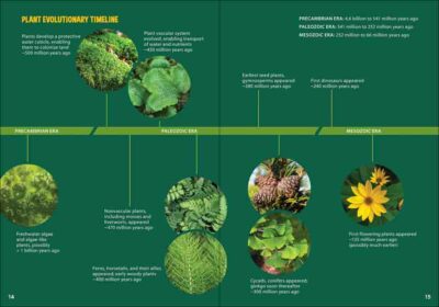 Pollinators & Native Plants for Kids - Image 3