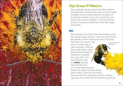 Pollinators & Native Plants for Kids - Image 4