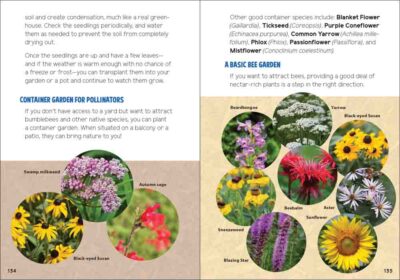 Pollinators & Native Plants for Kids - Image 5