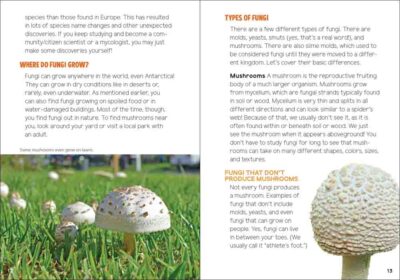 Mushrooms & Fungi for Kids - Image 2