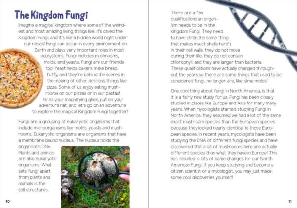 Mushrooms & Fungi for Kids - Image 3