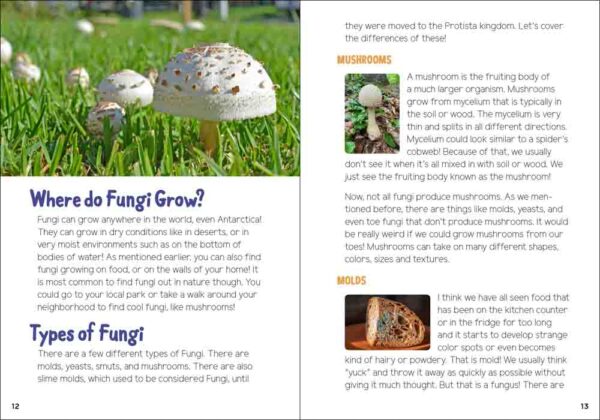 Mushrooms & Fungi for Kids - Image 4