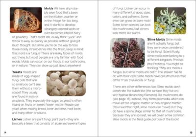Mushrooms & Fungi for Kids - Image 3