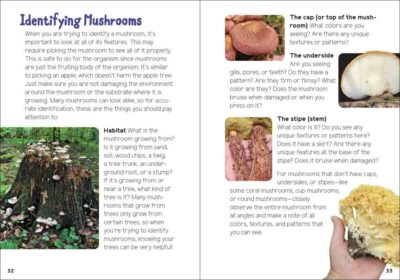 Mushrooms & Fungi for Kids - Image 4