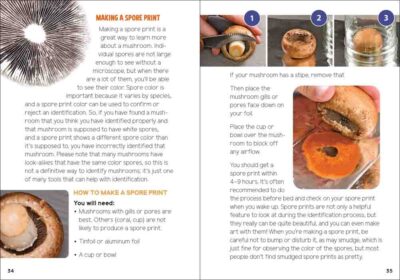 Mushrooms & Fungi for Kids - Image 5