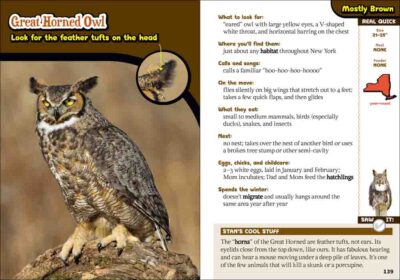Kids' Guide to Birds of New York - Image 3
