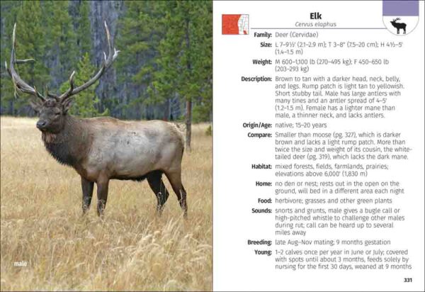 Mammals of Colorado Field Guide - Image 2