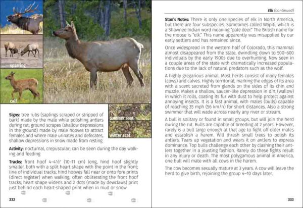 Mammals of Colorado Field Guide - Image 3