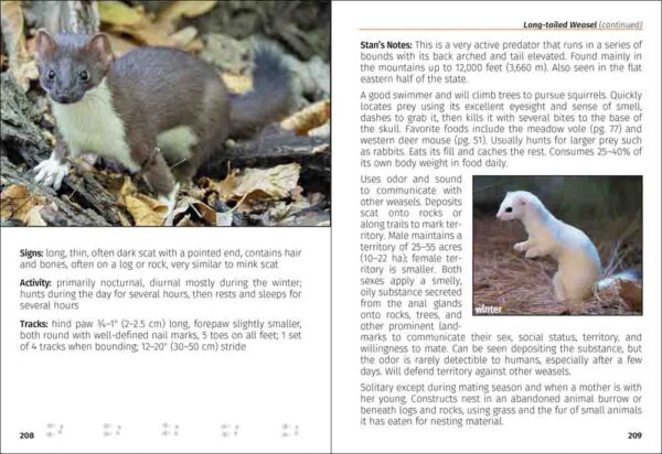 Mammals of Colorado Field Guide - Image 5