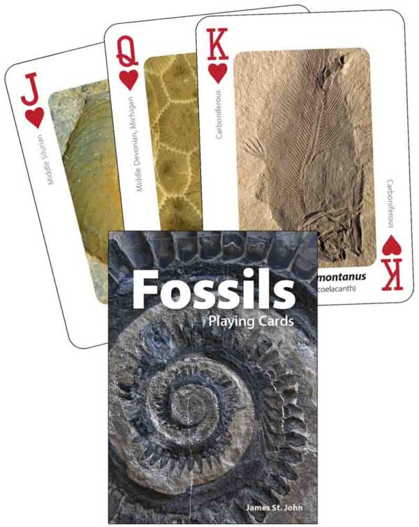 Fossils Playing Cards