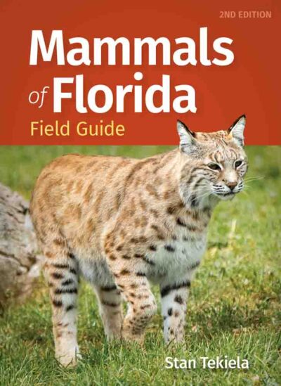 Mammals of Florida Field Guide