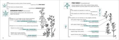 Flower Finder - Image 4