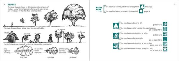 Tree Finder - Image 2