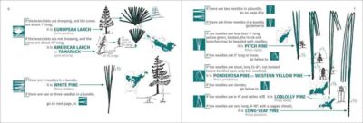 Tree Finder - Image 3