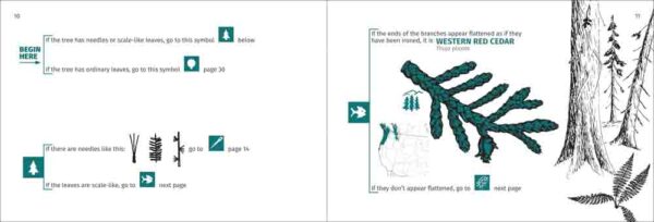 Rocky Mountain Tree Finder - Image 2