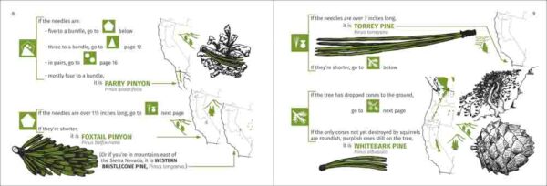 Pacific Coast Tree Finder - Image 3