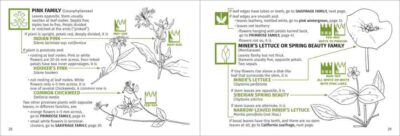 Redwood Region Flower Finder - Image 4