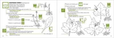 Redwood Region Flower Finder - Image 5