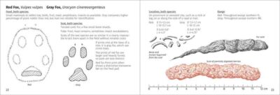Scat Finder - Image 4